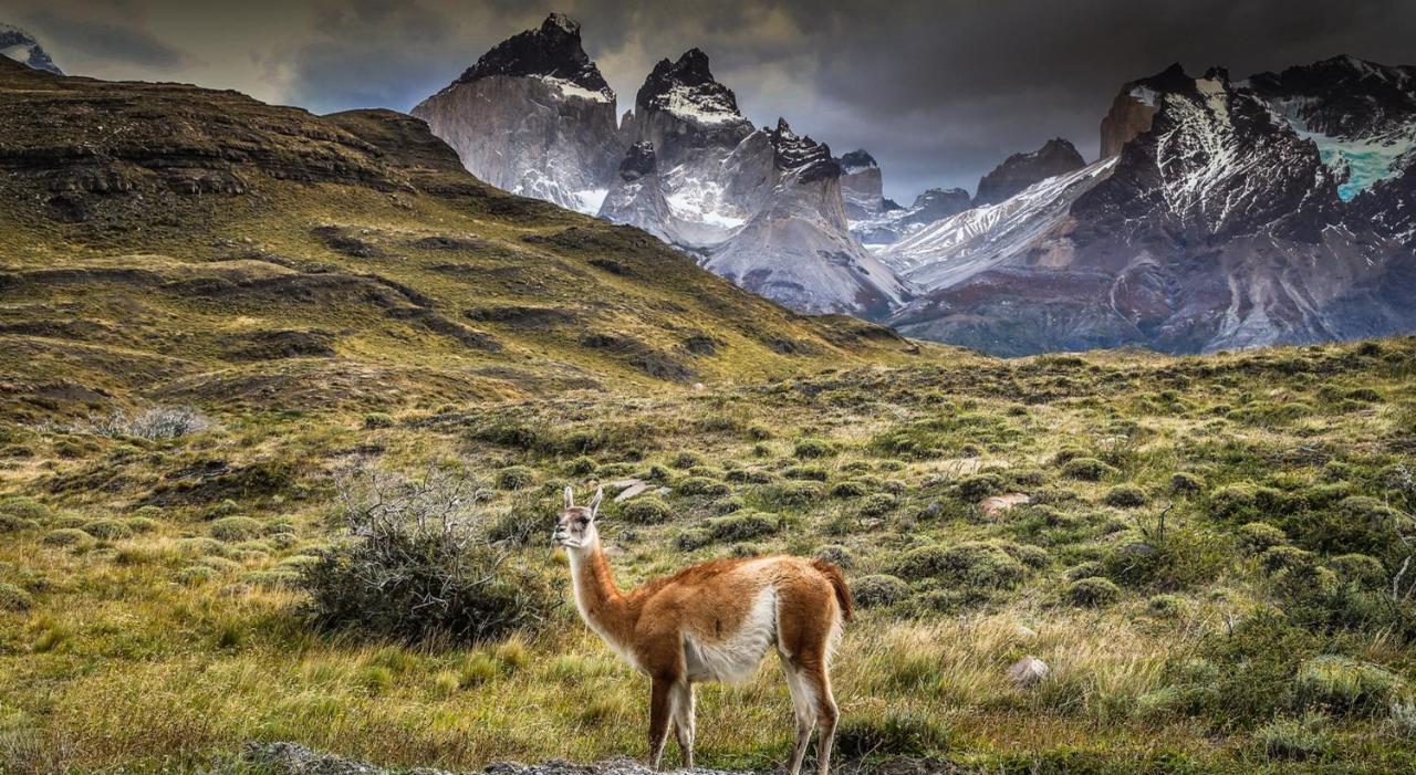 Rio Serrano Hotel + Spa Torres del Paine National Park Exteriér fotografie